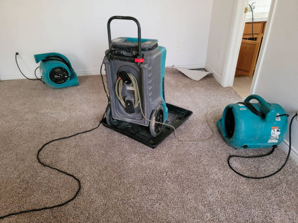 Best Local water damage restoration  in Girard, KS