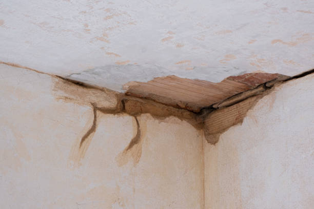 Best Water damage restoration near me  in Girard, KS