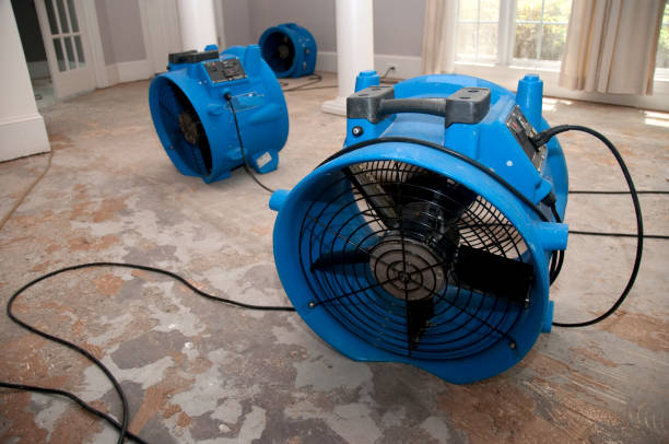 Best Residential water damage restoration  in Girard, KS