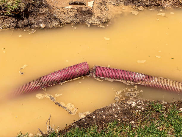 Water damage restoration mold remediation in KS